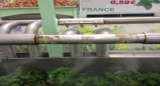 nébulisation fruits et légumes comparaison brumisation BRUMIFRAIS