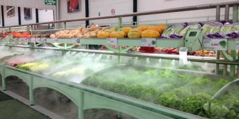 Nébulisation salade comparaison brumisation BRUMIFRAIS