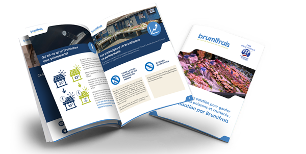 Mockup-livre-Blanc-Brumifrais